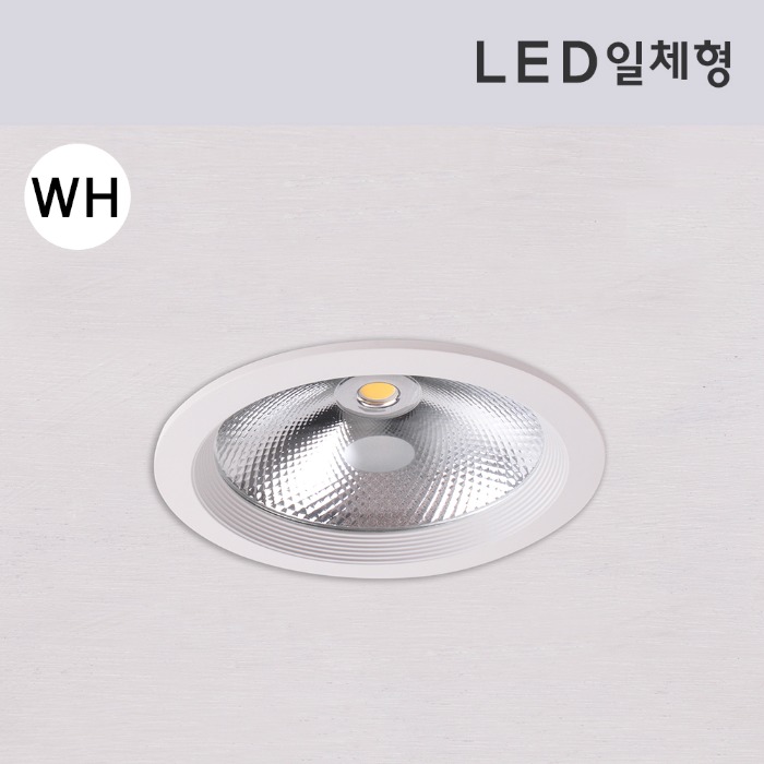 LED 일체형 FUN-5296 25W